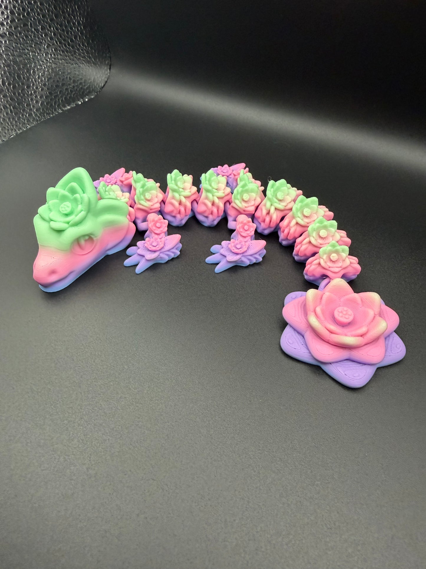 Rainbow Baby Lotus Dragon