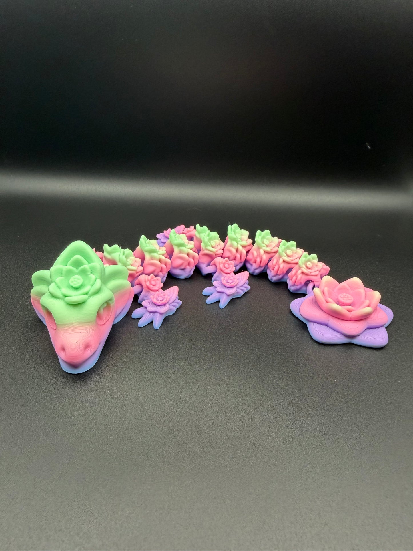 Rainbow Baby Lotus Dragon