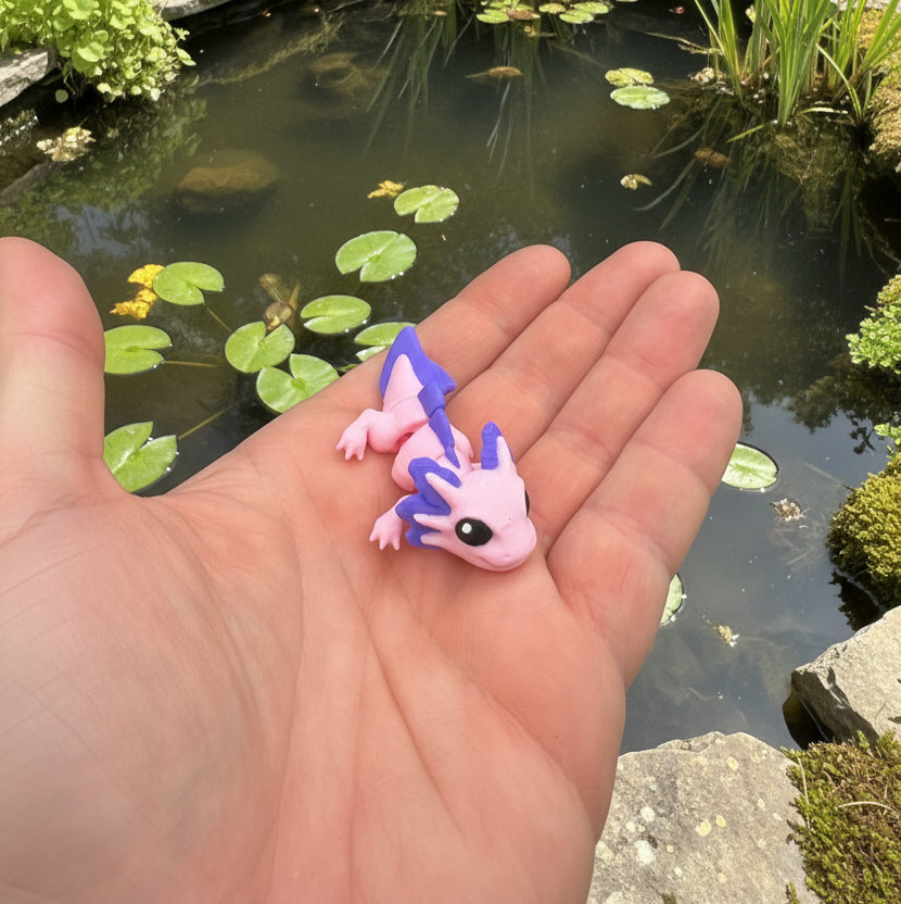 Minimals Pond Pack