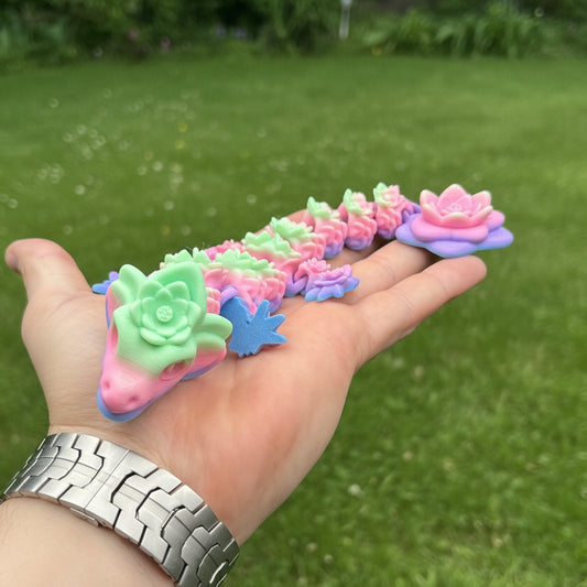 Rainbow Baby Lotus Dragon
