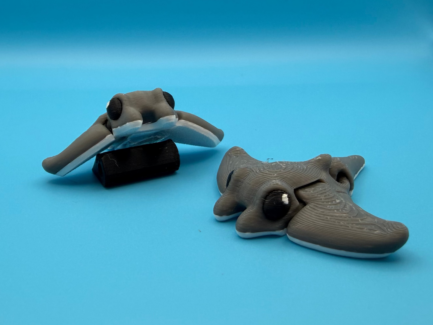 Minimals Stingray