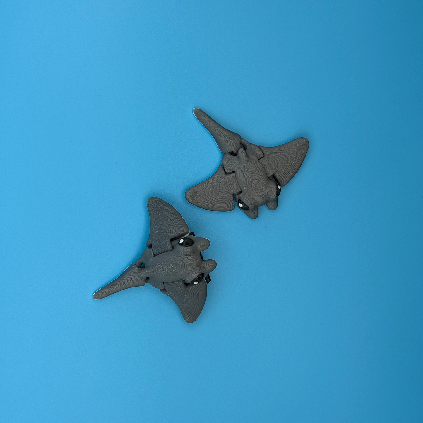 Minimals Stingray