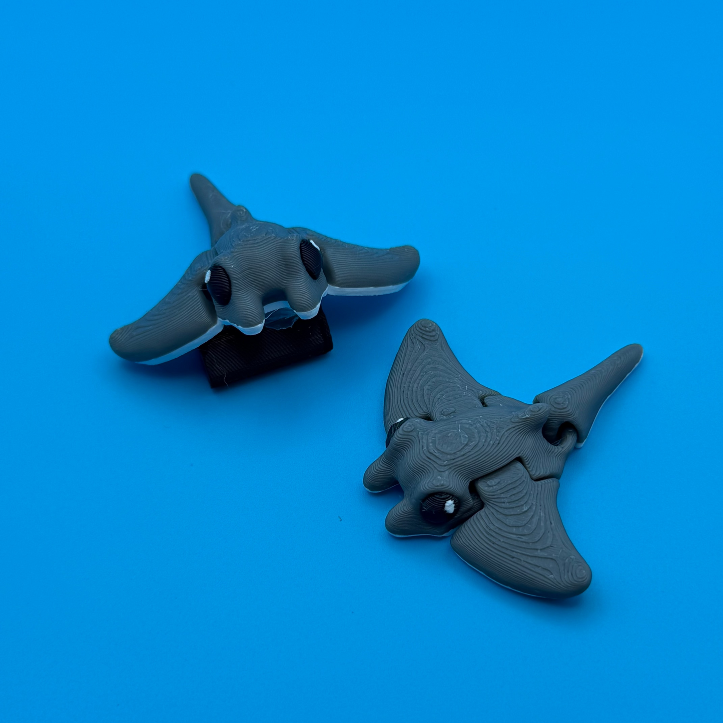 Minimals Stingray