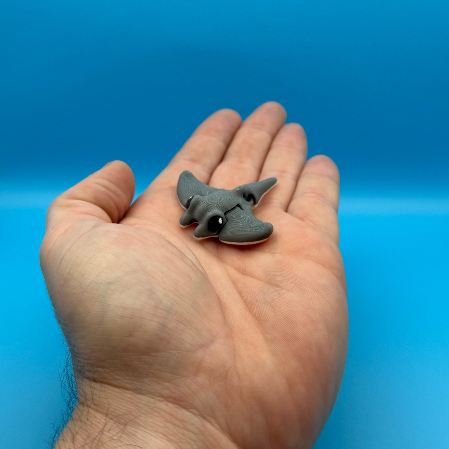 Minimals Stingray