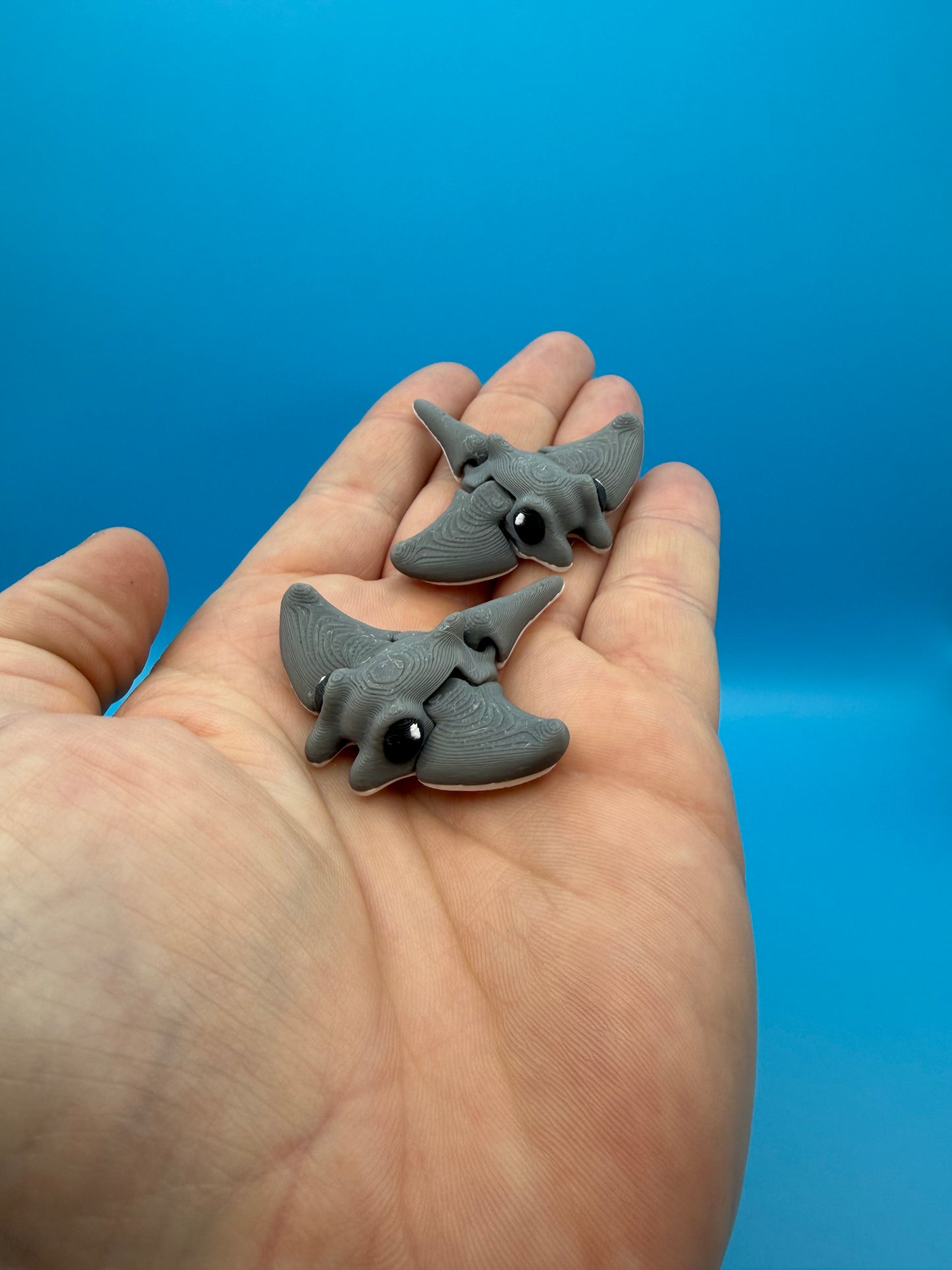 Minimals Stingray